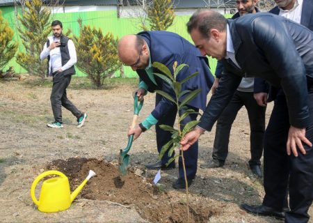 کاشت ۱۰۰ اصله درخت در زمین گلف مجموعه ورزش انقلاب