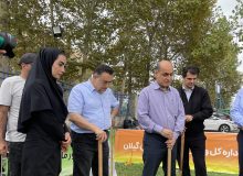 نوروزی: واگذاری زمین گلف انقلاب به فدراسیون و اعزام به بازی‌های آسیایی ناگویا و جوانان بحرین آغاز تحول در گلف با نظر دکتر دنیامالی است